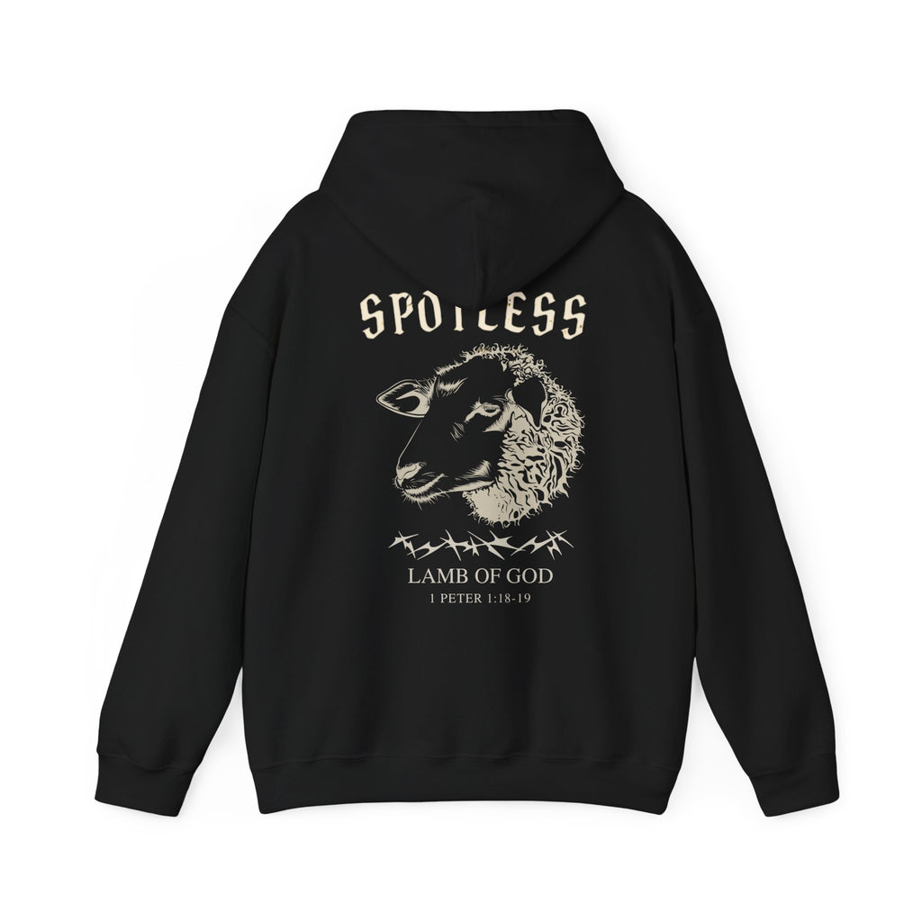 Spotless Hoodie