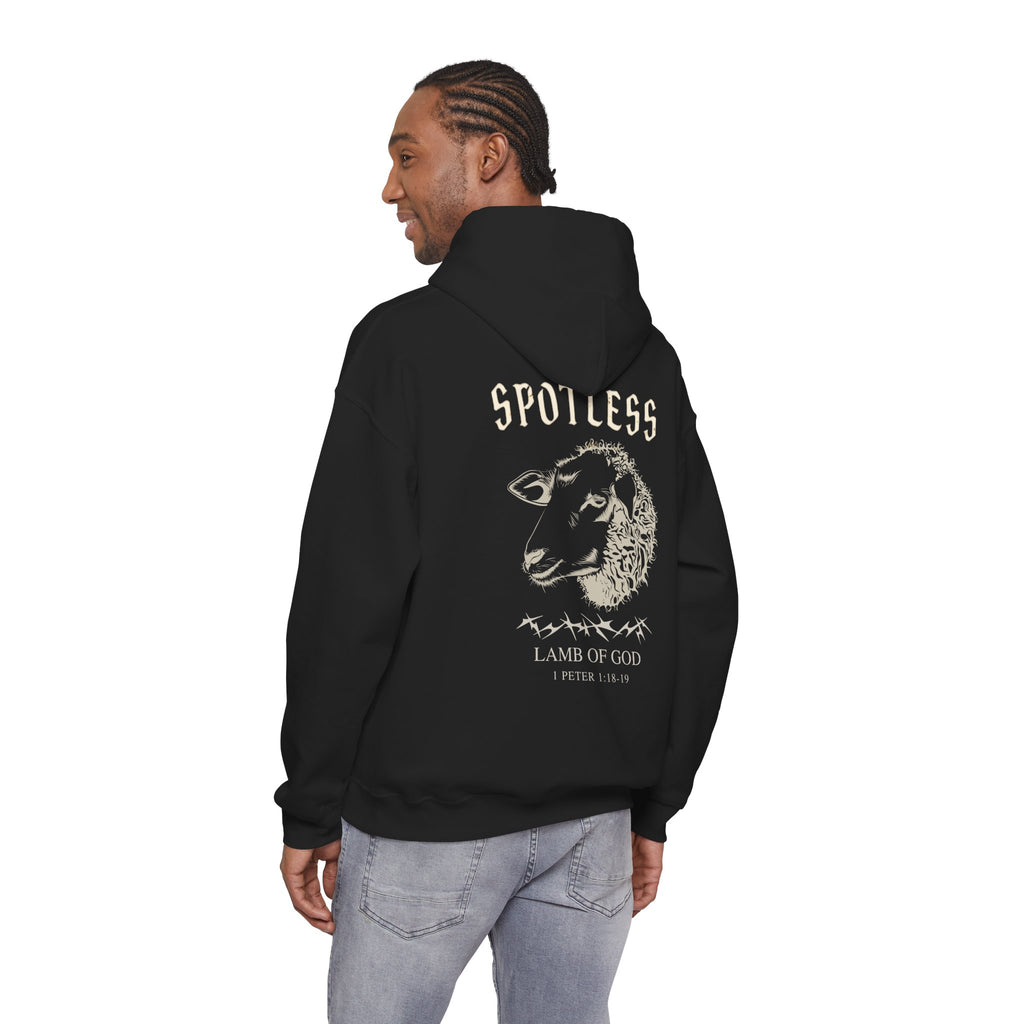 Spotless Hoodie
